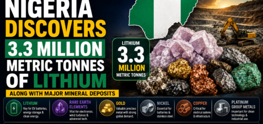 Nigeria Discovers 3.3 Million Metric Tonnes Of Lithium As Major Mineral Find Boosts Mining Ambitions